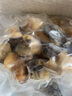 鮮又來(lái)海螺肉鮮活現剝海螺海鮮水產(chǎn)特大海螺即食冷凍花螺現殺 嘗鮮裝 0.5kg 曬單實(shí)拍圖