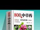 800種中草藥彩色全圖鑒精選版 中草藥抓配彩圖大全書 中藥材大百科本草綱目彩色圖鑒 中醫(yī)基礎(chǔ)理論中草藥識別中醫(yī)養(yǎng)生藥學(xué)實(shí)用驗(yàn)方 曬單實(shí)拍圖