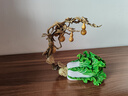 銅師傅《福祿百財》桌面銅葫蘆白菜擺件 家居裝飾工藝品 曬單實(shí)拍圖
