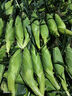 滬聯(lián)植保33%春雷喹啉銅春雷霉素黃瓜細菌性角斑病農(nóng)藥殺菌劑 1000g*1瓶 曬單實拍圖