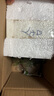 文竹盆栽植物室內(nèi)凈化空氣辦公室桌面好養(yǎng)盆栽四季常青HBSAR002 文竹+舍得瓷盆+黑沙鋪面+圓底座 曬單實拍圖