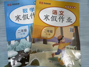 2025新版二年級下冊暑假作業(yè)二升三暑假銜接語(yǔ)文數學(xué)全套人教版 小學(xué)2下暑假銜接下冊教材同步練習冊專(zhuān)項訓練人教快樂(lè )假期二年下學(xué)期生活試卷預習 【2本全套】語(yǔ)文+數學(xué) 曬單實(shí)拍圖