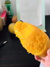 順豐可選 海南金煌芒果 核薄無絲樹上熟水仙芒 10斤禮盒 源頭直發(fā) 3斤 小果嘗鮮 曬單實(shí)拍圖