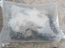 裸鯉魚苗體淡水養(yǎng)殖食用冷水觀賞魚活體裸斑魚無甲無磷鯉魚德國鏡鯉三道鱗小魚苗 100條5-7厘米裸鯉魚苗【多發(fā)10%防損】 曬單實拍圖