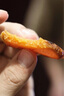 霞沙臺(tái)灣烏魚(yú)子開(kāi)袋即食云林縣特產(chǎn)烏魚(yú)籽干海鮮魚(yú)卵舌尖上的中國(guó)美食 100g整片/需烹飪 1份 曬單實(shí)拍圖