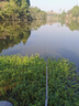 AFW進(jìn)口高碳達瓦千岡魚(yú)竿手竿超輕超硬28調19調臺釣竿鯽鯉魚(yú)竿大物竿 4.5m 4H28調+原裝竿稍+禮包 曬單實(shí)拍圖