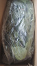 四川新鮮藿香葉魚(yú)香葉 露天現(xiàn)摘魚(yú)香菜藿香苗草 泡茶做菜霍香葉子 綠色 藿香純?nèi)~子嫩尖250g 曬單實(shí)拍圖