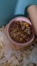 諾辰小寵倉鼠陶瓷小食盆 瓷窩 防翻食盆鼠金絲熊食盆 倉鼠用品 防翻食盆粉色 曬單實(shí)拍圖