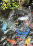 森森魚池噴泉泵魚池多功能過濾器魚池噴泉裝飾魚池循環(huán)假山噴泉 CUF 5800(55瓦適合1 5立方) 曬單實(shí)拍圖