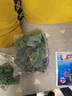 叒好小兵人玩具士兵軍事模型套裝沙盤場(chǎng)景打仗塑料小人男孩玩具禮物 五色中兵團(tuán)（200人+140配件） 曬單實(shí)拍圖
