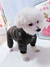 嬉皮狗（hipidog）寵物狗狗石墨烯黑金系列四腳羽絨服博美小型幼犬秋冬款衣服0363 雷奧黑 L （建議體重8-11斤） 曬單實(shí)拍圖