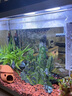 京厽魚(yú)缸過(guò)濾器三合一內(nèi)置循環(huán)泵小型水族箱過(guò)濾增氧泵 小鯉系列6W四合一過(guò)濾器適合60CM內(nèi)缸 曬單實(shí)拍圖