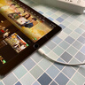 原裝適用蘋果iPad充電器平板12w快充ipad air2 Pro min4 3充電頭6 1米正品數(shù)據(jù)線【單線】 曬單實(shí)拍圖
