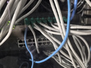 CNCOB 六類水晶頭保護套彩色工程級RJ45網(wǎng)線頭8p8c超五類網(wǎng)線水晶頭護套 綠色護套【100顆】 曬單實拍圖