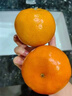 京鮮氣 廣西沃柑 新鮮當(dāng)季桔子蜜橘香妃柑純甜禮整箱水果禮盒 精選 5斤【普通裝】 曬單實(shí)拍圖