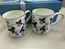 Wedgwood[11.11保價(jià)]野草莓墨藍馬克杯高顏值骨瓷咖啡杯水杯家用杯子 野草莓墨蘭馬克杯2個(gè)290ml 曬單實(shí)拍圖