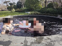 多菲尼森媽媽泳衣女大碼泳衣新遮肚顯瘦保守連體裙式中老年泡溫泉大碼泳裝 保守連體裙【建議120-160斤】 曬單實(shí)拍圖