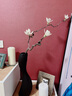 美學(xué)黑客干樹(shù)枝裝飾干枝插花客廳落地干花裝飾家居擺件擺設(shè)真花藝造景干支 玉蘭干花藤樹(shù)枝單支不含花瓶 曬單實(shí)拍圖