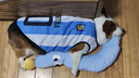 寵物狗狗夏季衣服薄款四季背心夏天柯基泰迪柴犬比熊小型犬防掉毛 藍(lán)白款 4XL碼【建議31-38斤】 曬單實(shí)拍圖