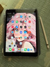 Apple/蘋(píng)果 二手平板電腦 iPad 2020  10.2英寸 ipad8 學(xué)生電腦 網(wǎng)課 99新 2020款（ipad8） 國(guó)行零售機(jī) 店保 128G WIFI版+一代蘋(píng)果筆（單機(jī)＋電腦包） 曬單實(shí)拍圖