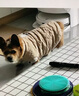 冇寵秋冬狗狗衣服加厚保暖柯基臘腸柴犬中型犬棉衣可掛牽引繩寵物馬甲 菱形格棉衣-卡其色（不含繩） XL號（建議13-17斤左右） 曬單實拍圖