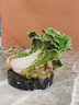 莫尼森  MOREISAN琺瑯彩百財(cái)如意白菜擺件客廳辦公室桌面酒柜裝飾品喬遷開業(yè)禮物品 琺瑯彩晶瑩如玉大白菜 曬單實(shí)拍圖