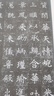 隋董美人墓志(修訂版)/歷代碑帖法書選 曬單實(shí)拍圖