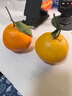 老廟珍珠耳釘針珍珠太陽花鑲鋯石耳飾送女友圣誕節(jié)新年禮物 太陽花耳釘 曬單實拍圖