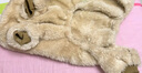 智宙泰迪衣服狗狗衣服寵物小型犬狗狗衣服秋冬季保暖比熊博美幼犬加厚 淺棕色L碼（建議6-8.5斤） 升級(jí)優(yōu)質(zhì)珊瑚絨-【加絨加厚】 曬單實(shí)拍圖