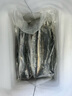 海升東秋刀魚 深海魚燒烤食材新鮮秋刀魚超大規(guī)格冷凍海鮮水產(chǎn)生鮮 魚類 秋刀魚5斤裝 2號秋刀 曬單實拍圖
