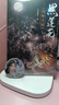 正版 黑蓮花攻略手冊 白羽摘雕弓 全套2冊 虞書欣 丁禹兮主演電視劇《永夜星河》原著小說 青春文學(xué)穿越古風(fēng)愛情古言愛情小說 曬單實拍圖