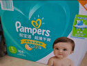 幫寶適（Pampers）綠幫紙尿褲 尿不濕尿褲超薄透氣整箱發(fā)貨 【箱裝】紙尿褲L 164片 (9-14kg) 曬單實(shí)拍圖