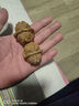 老農哥【蛤蟆頭青皮】金蟾延慶開(kāi)背文玩核桃帶皮蛙蛙呱呱自開(kāi)小眾賭青皮 金蟬蛤蟆頭 50-51mm蛤蟆頭青果【1對】 曬單實(shí)拍圖