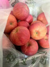 正宗陜西白水瑞陽(yáng)蘋(píng)果西北農林科技大學(xué)研發(fā)產(chǎn)地直發(fā) 5斤小果 曬單實(shí)拍圖