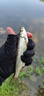 川品社 溪流線(xiàn)組套裝 野釣鯽魚(yú)/白條/石斑傳統釣溪流三粒七星漂通線(xiàn)單鉤小魚(yú)線(xiàn)組 橄欖型三豆【金袖有刺】2.7米/2組裝 0.8【魚(yú)線(xiàn)號】 曬單實(shí)拍圖