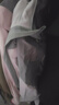 駱駝（CAMEL）熊貓沖鋒衣女裝2025秋冬三合一女外套男戶(hù)外三防保暖登山服 曬單實(shí)拍圖