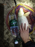 客友釣具客友名揚四海魚鉤散裝新關(guān)東魚鉤袖鉤釣魚鉤套裝魚鉤有無刺配件 伊豆有刺 8號 曬單實拍圖