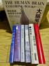大腦筆記 神經(jīng)系統(tǒng)涂色學(xué)習(xí)手冊(cè) 重現(xiàn)解剖學(xué)教授經(jīng)典課堂 腦神經(jīng)科學(xué)版秘密花園 后浪正版 曬單實(shí)拍圖
