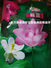 芍藥花種子 室內盆栽花卉植物種子 陽(yáng)臺庭院 四季種植芍藥花籽 芍藥種子/包約15粒 5包 曬單實(shí)拍圖