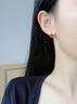 老鳳祥S925銀耳釘女皇冠小福蛇生肖耳飾生日周年情人節(jié)紀(jì)念日禮物送女友 生肖款*皇冠小福蛇耳釘*品牌禮盒 曬單實拍圖