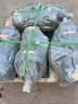 常州擺線(xiàn)針輪減速機BWD臥式BLD立式XW國標全銅芯電機直連式減速器 BWD0/XWD2機頭 7-87速比 曬單實(shí)拍圖