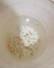 彌翠園紅鯉魚活體魚苗淡水養(yǎng)殖食用冷水觀賞魚錦鯉興國紅鯉魚魚批發(fā) 50條2-4厘米紅鯉魚苗加20%防損 曬單實拍圖