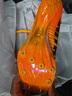 彪馬Puma Nitro100 2代千呼萬喚始出來 田徑精英彪馬男女厚底短跑釘鞋 赤焰巴黎Nitro 100 2/380002-01 42.5 曬單實(shí)拍圖