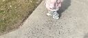 牧童學步鞋男冬季加絨保暖棉鞋嬰兒軟底面包鞋女寶寶鞋子 焦糖咖19 曬單實拍圖