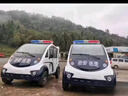 雷賓電動(dòng)巡邏車四輪觀光車營區(qū)學(xué)校廠區(qū)物業(yè)保安治安擺渡巡查車帶斗皮卡 電瓶定制金 曬單實(shí)拍圖