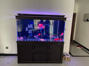 森森（SUNSUN）新品森森美式帝雅超白玻璃底過濾龍魚缸大型客廳魚缸免換水 (入門級)美式-帝雅 1.5米42.2寬 靠墻款 曬單實拍圖