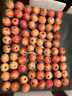 杞農優(yōu)食滎陽(yáng)河陰突尼斯軟籽紅石榴水果新鮮包郵無(wú)籽河陰軟子甜當季整箱 推薦4.5斤特大【單果400g以上】 曬單實(shí)拍圖
