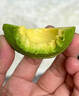 南步云南哈斯牛油果 孟連國(guó)產(chǎn)即食鱷梨巨無霸寶寶新鮮健康輕食水果 牛油果 2個(gè)裝 小果【70-100g】 曬單實(shí)拍圖