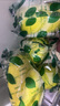 荔口福海南香水檸檬子彈頭皮薄新鮮一級(jí)泰國塔希提無籽青檸檬飲品奶茶店 海南香水檸檬【二級(jí)果50-70g/個(gè) 無仔青檸檬【1斤裝】 曬單實(shí)拍圖