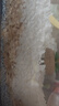 carno卡諾倉(cāng)鼠木屑紙棉果果吸水紙粒尿砂玉米芯金絲熊除臭墊料造景用品 桑葚藍(lán)莓-吸水紙粒1.8kg 曬單實(shí)拍圖